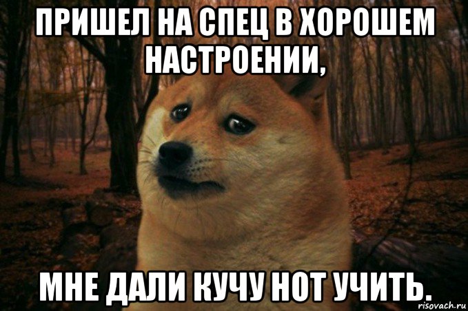 пришел на спец в хорошем настроении, мне дали кучу нот учить., Мем SAD DOGE