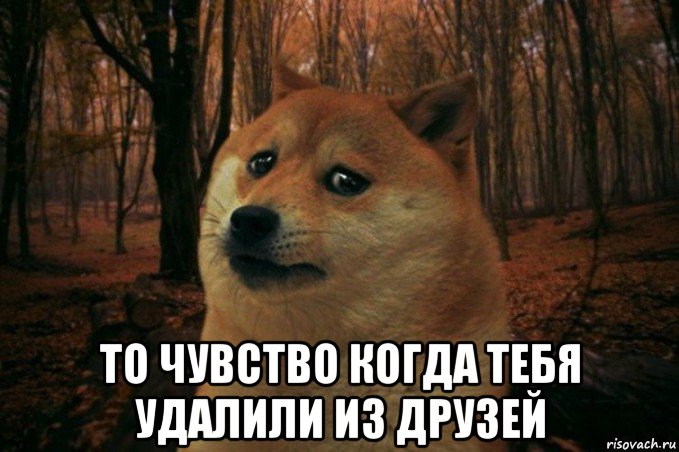  то чувство когда тебя удалили из друзей, Мем SAD DOGE