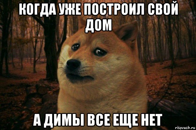 когда уже построил свой дом а димы все еще нет, Мем SAD DOGE