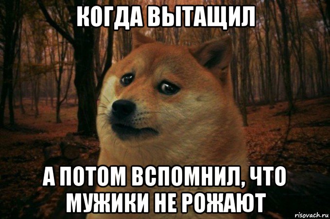 когда вытащил а потом вспомнил, что мужики не рожают, Мем SAD DOGE