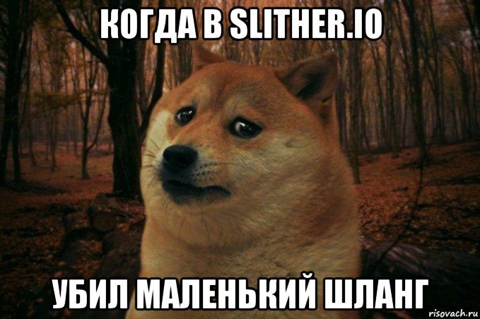 когда в slither.io убил маленький шланг, Мем SAD DOGE