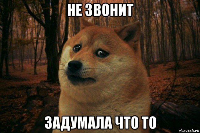 не звонит задумала что то, Мем SAD DOGE