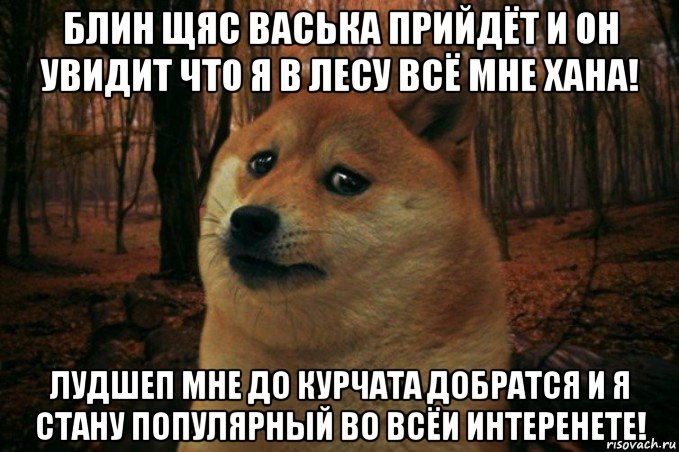 блин щяс васька прийдёт и он увидит что я в лесу всё мне хана! лудшеп мне до курчата добратся и я стану популярный во всёи интеренете!, Мем SAD DOGE