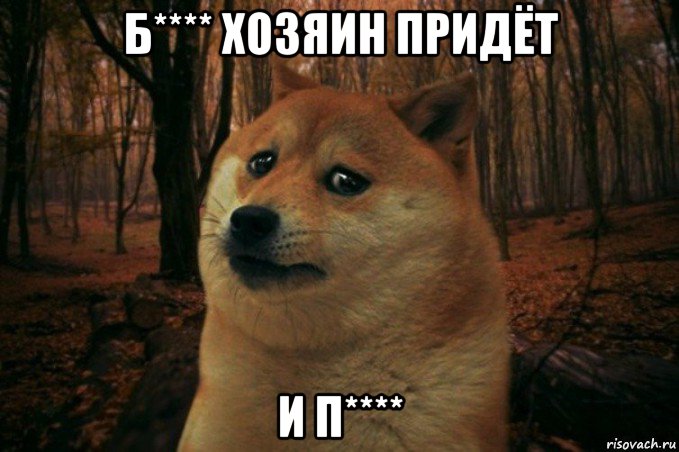 б**** хозяин придёт и п****, Мем SAD DOGE