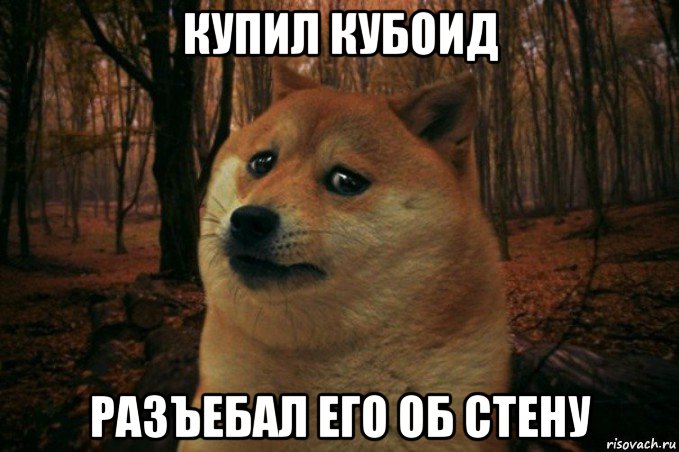 купил кубоид разъебал его об стену, Мем SAD DOGE