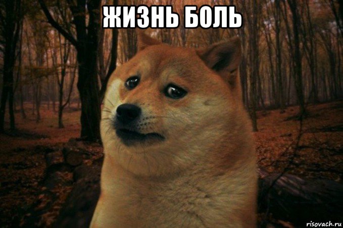 жизнь боль , Мем SAD DOGE
