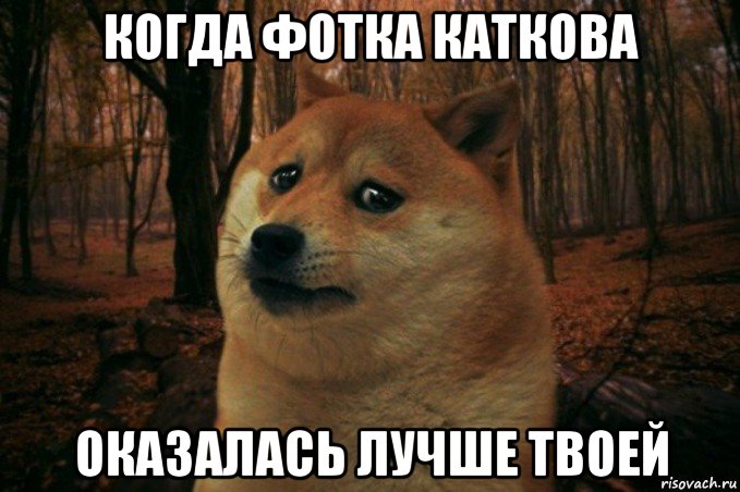 когда фотка каткова оказалась лучше твоей, Мем SAD DOGE