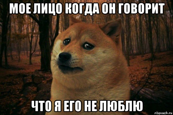 мое лицо когда он говорит что я его не люблю, Мем SAD DOGE