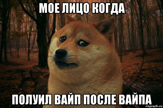 мое лицо когда полуил вайп после вайпа, Мем SAD DOGE