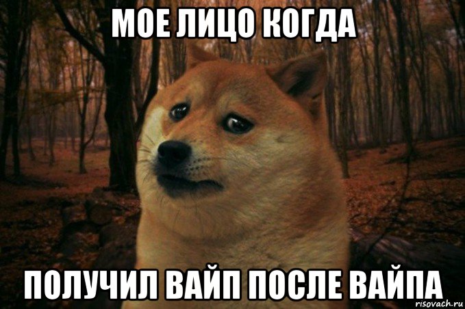 мое лицо когда получил вайп после вайпа, Мем SAD DOGE