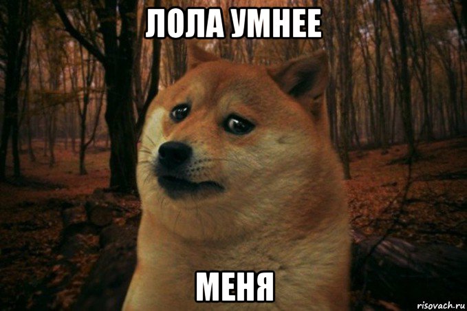 лола умнее меня, Мем SAD DOGE