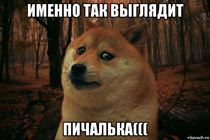 именно так выглядит пичалька(((, Мем SAD DOGE