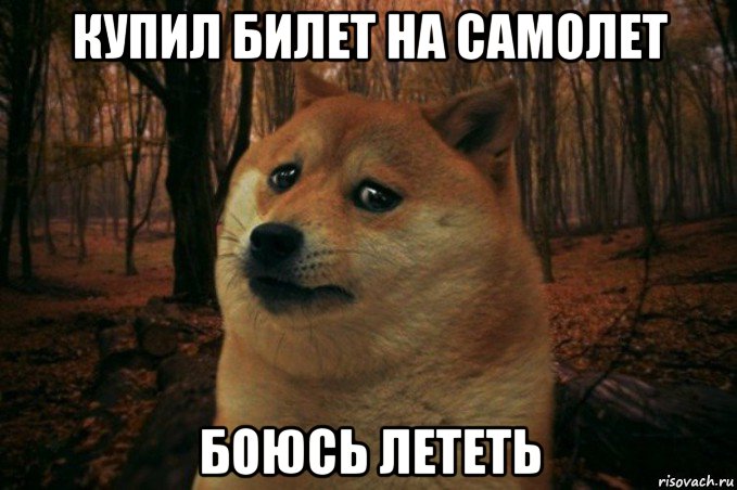 купил билет на самолет боюсь лететь, Мем SAD DOGE