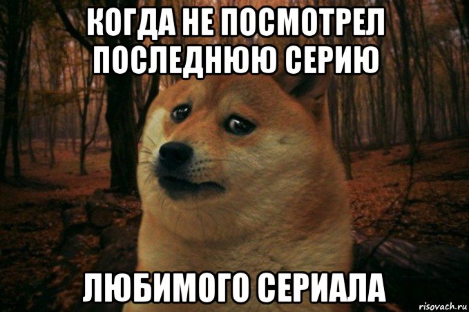 когда не посмотрел последнюю серию любимого сериала, Мем SAD DOGE