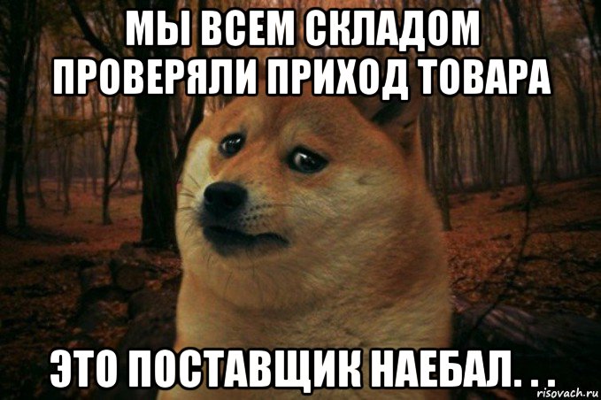 мы всем складом проверяли приход товара это поставщик наебал. . ., Мем SAD DOGE