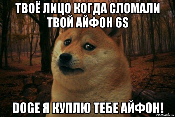 твоё лицо когда сломали твой айфон 6s doge я куплю тебе айфон!, Мем SAD DOGE
