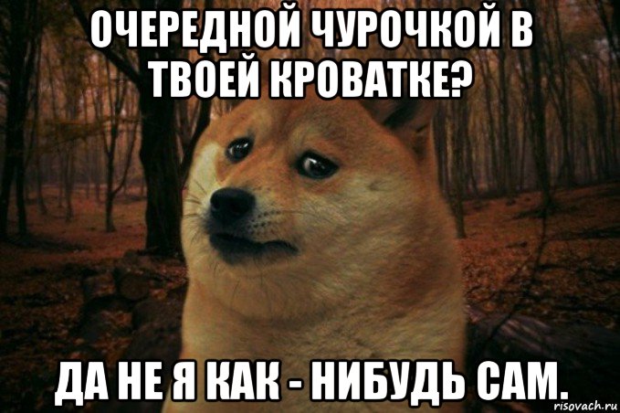 очередной чурочкой в твоей кроватке? да не я как - нибудь сам., Мем SAD DOGE