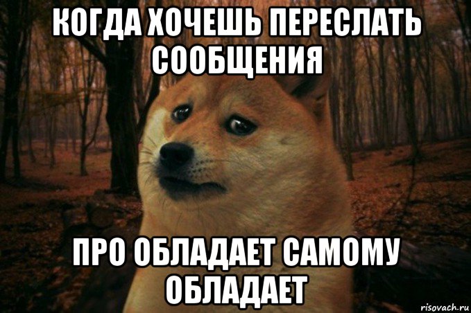 когда хочешь переслать сообщения про обладает самому обладает, Мем SAD DOGE