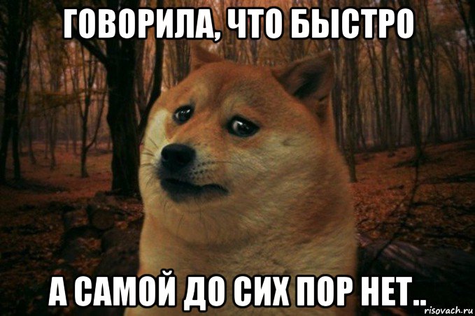 говорила, что быстро а самой до сих пор нет.., Мем SAD DOGE