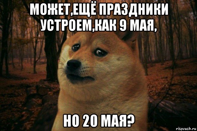 может,ещё праздники устроем,как 9 мая, но 20 мая?, Мем SAD DOGE