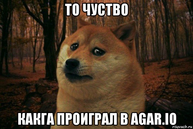 то чуство какга проиграл в agar.io, Мем SAD DOGE