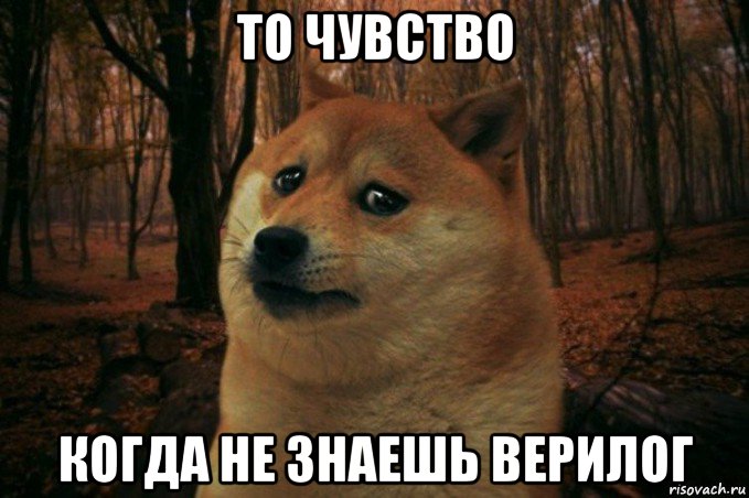 то чувство когда не знаешь верилог, Мем SAD DOGE