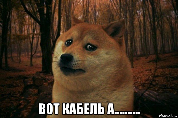  вот кабель а.........., Мем SAD DOGE