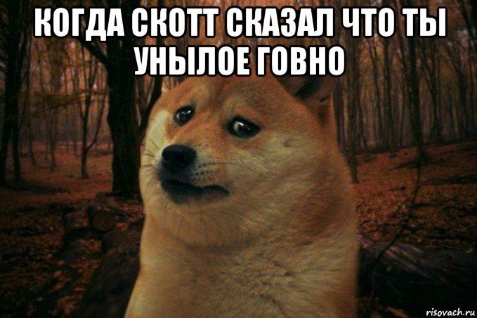 когда скотт сказал что ты унылое говно , Мем SAD DOGE