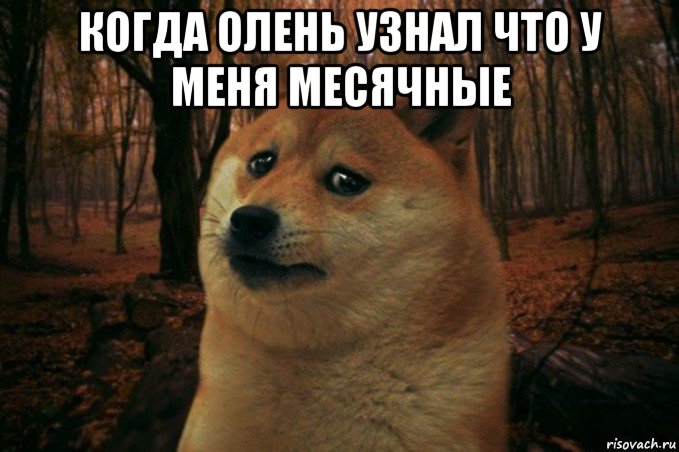 когда олень узнал что у меня месячные , Мем SAD DOGE