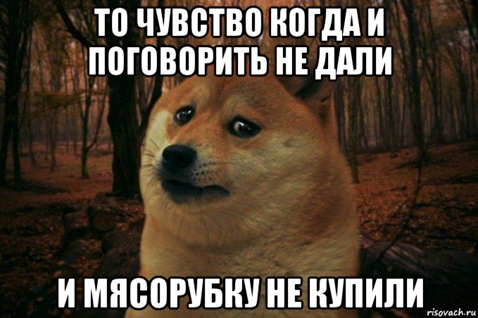 то чувство когда и поговорить не дали и мясорубку не купили, Мем SAD DOGE