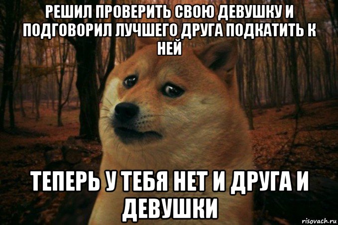 решил проверить свою девушку и подговорил лучшего друга подкатить к ней теперь у тебя нет и друга и девушки, Мем SAD DOGE