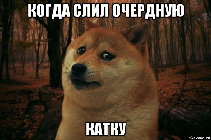 когда слил очердную катку, Мем SAD DOGE