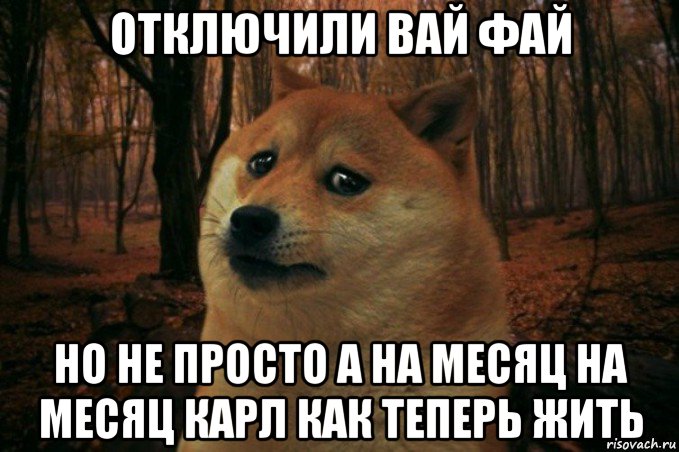 отключили вай фай но не просто а на месяц на месяц карл как теперь жить, Мем SAD DOGE