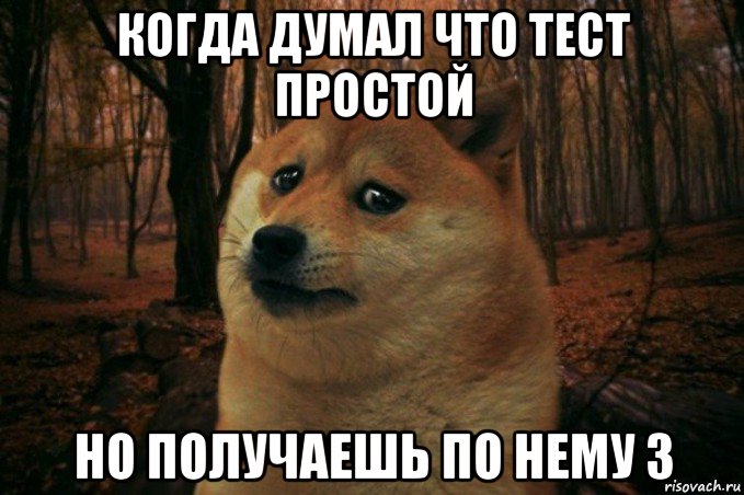 когда думал что тест простой но получаешь по нему 3, Мем SAD DOGE