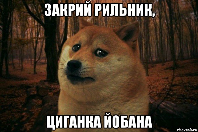 закрий рильник, циганка йобана, Мем SAD DOGE