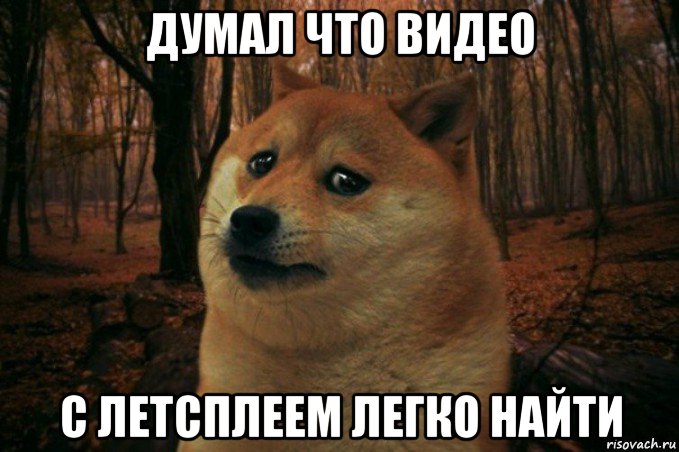 думал что видео с летсплеем легко найти, Мем SAD DOGE