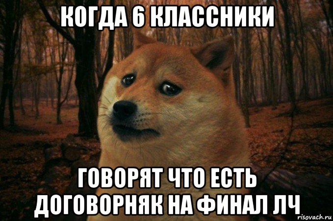 когда 6 классники говорят что есть договорняк на финал лч, Мем SAD DOGE