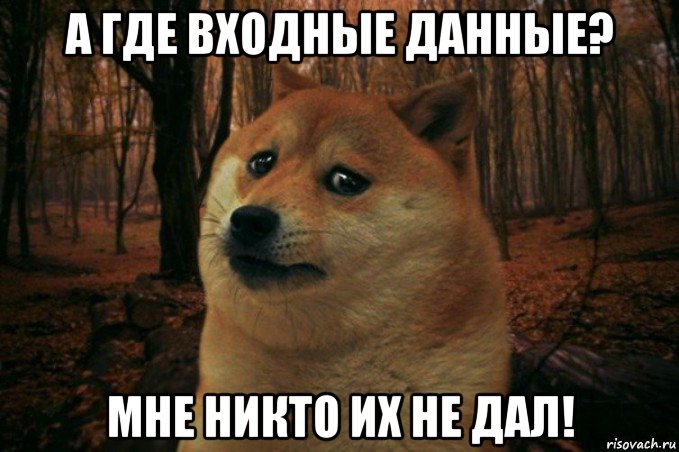 а где входные данные? мне никто их не дал!, Мем SAD DOGE