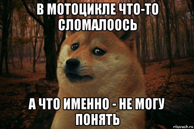 в мотоцикле что-то сломалоось а что именно - не могу понять, Мем SAD DOGE