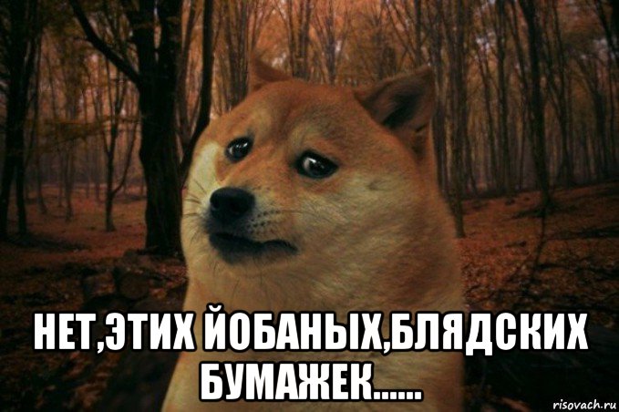  нет,этих йобаных,блядских бумажек......, Мем SAD DOGE