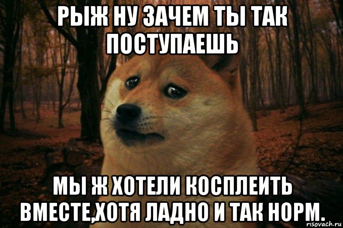 рыж ну зачем ты так поступаешь мы ж хотели косплеить вместе,хотя ладно и так норм., Мем SAD DOGE