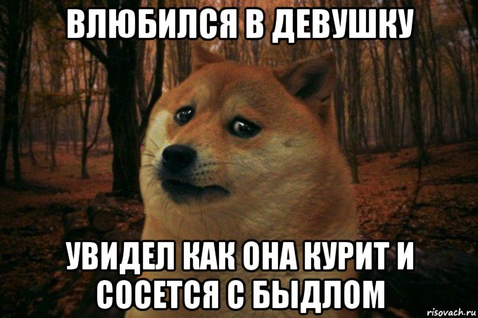 влюбился в девушку увидел как она курит и сосется с быдлом, Мем SAD DOGE