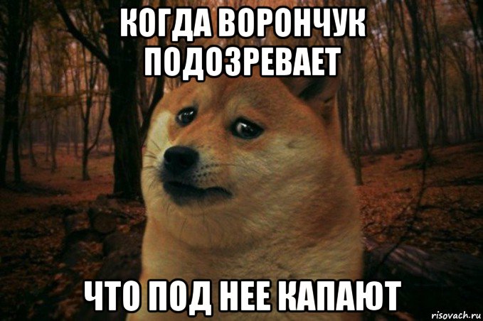 когда ворончук подозревает что под нее капают, Мем SAD DOGE