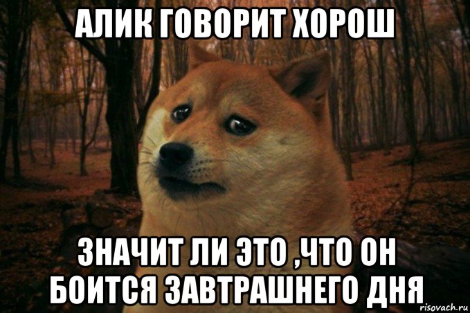 алик говорит хорош значит ли это ,что он боится завтрашнего дня, Мем SAD DOGE