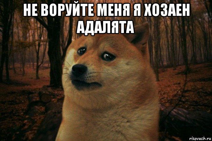 не воруйте меня я хозаен адалята , Мем SAD DOGE