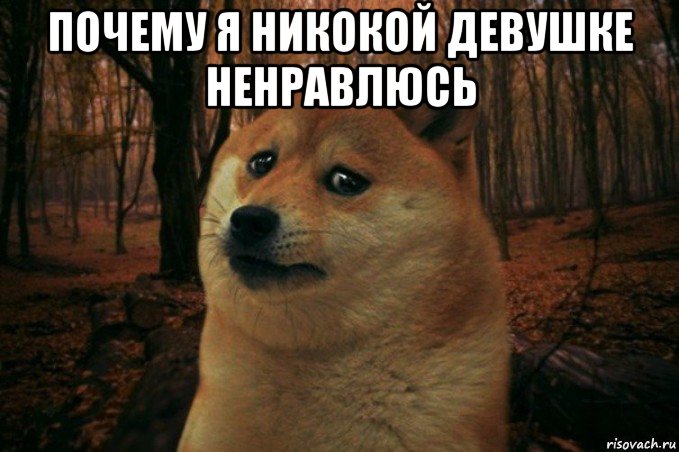 почему я никокой девушке ненравлюсь , Мем SAD DOGE