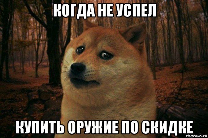 когда не успел купить оружие по скидке, Мем SAD DOGE