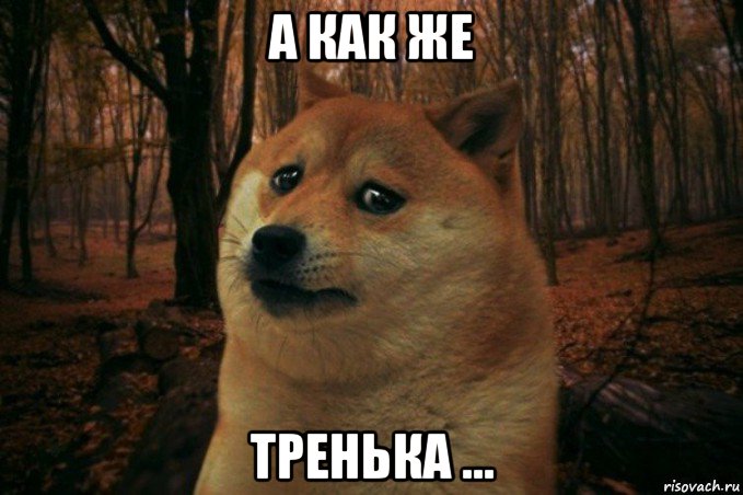 а как же тренька ..., Мем SAD DOGE