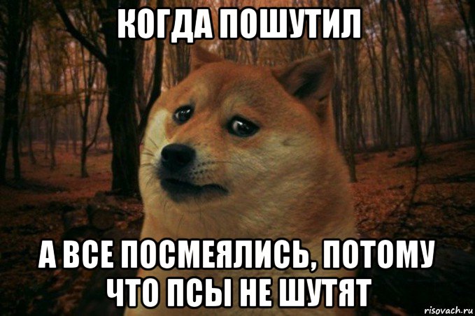 когда пошутил а все посмеялись, потому что псы не шутят, Мем SAD DOGE