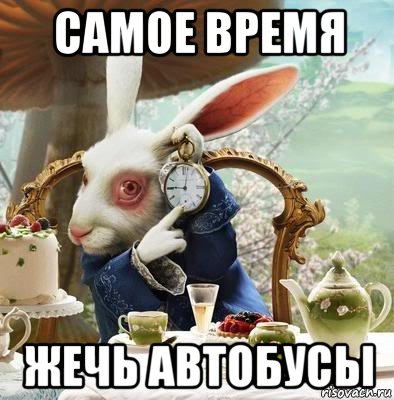 самое время жечь автобусы